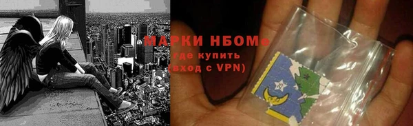 стафф Кодинск