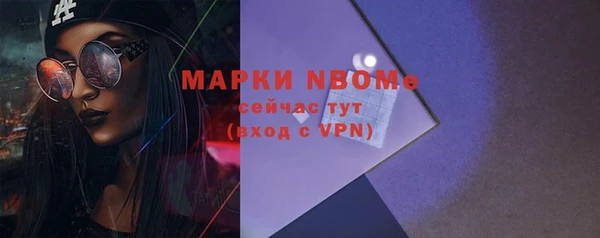 стафф Кодинск