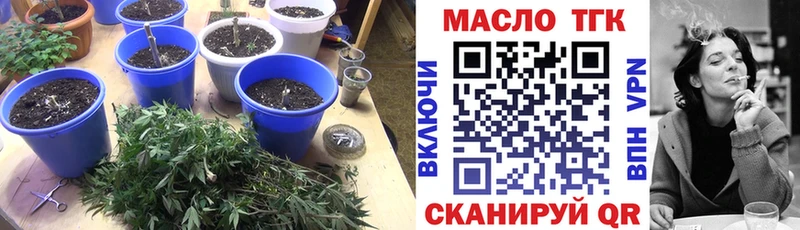 ТГК вейп  где продают наркотики  Грайворон 